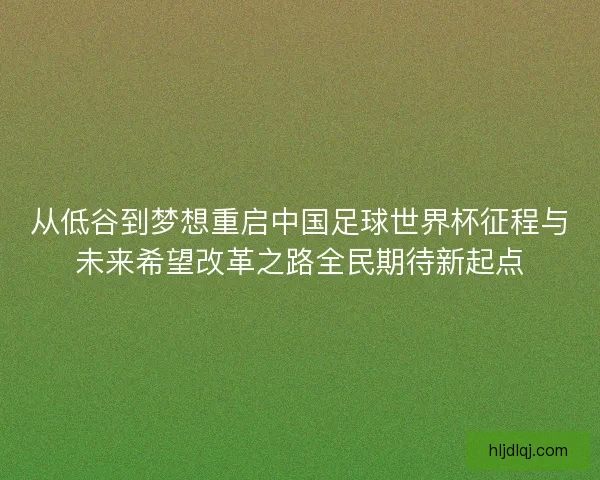 从低谷到梦想重启中国足球世界杯征程与未来希望改革之路全民期待新起点
