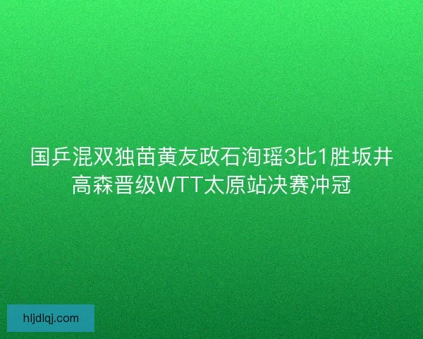 国乒混双独苗黄友政石洵瑶3比1胜坂井高森晋级WTT太原站决赛冲冠