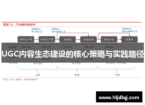 UGC内容生态建设的核心策略与实践路径