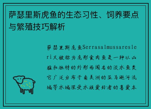 萨瑟里斯虎鱼的生态习性、饲养要点与繁殖技巧解析